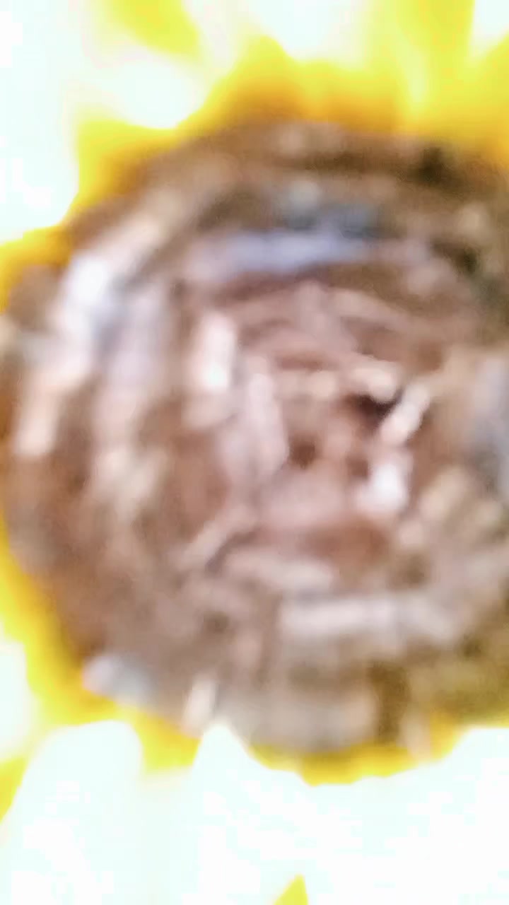@Julia_DizainArt2