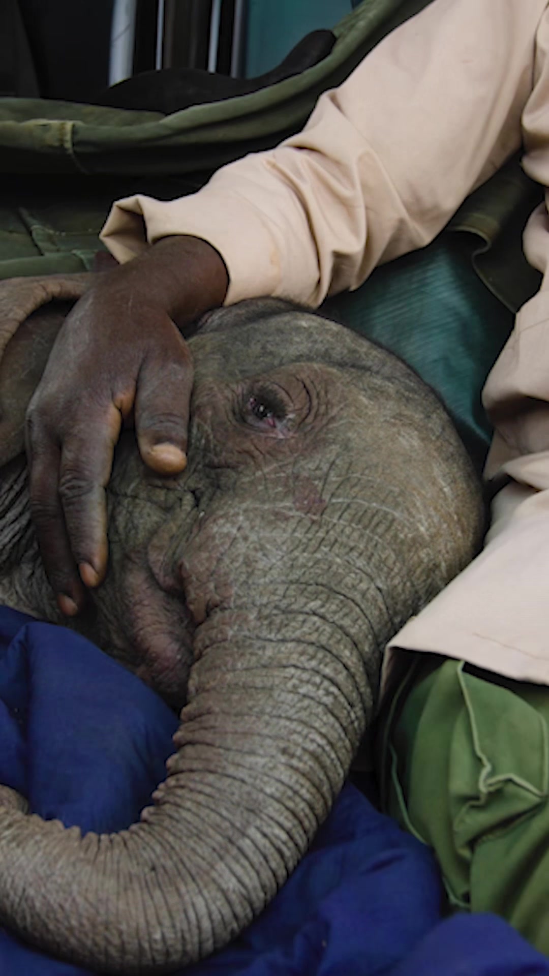 @SheldrickTrust