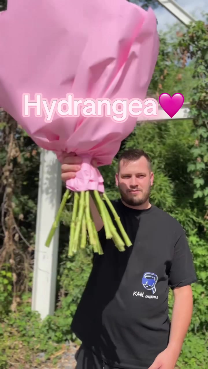 @Růže Michael