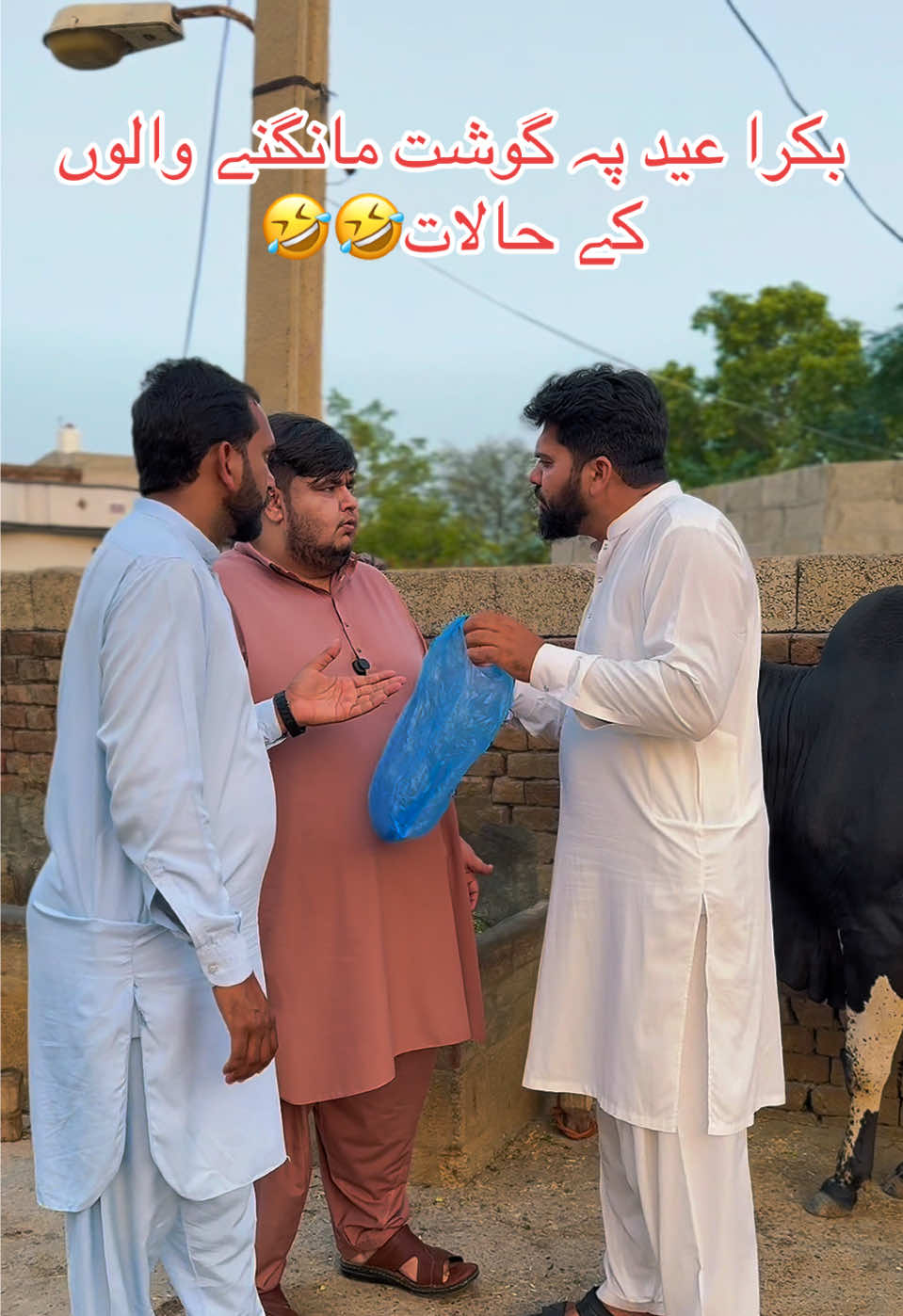@MR SAQIB