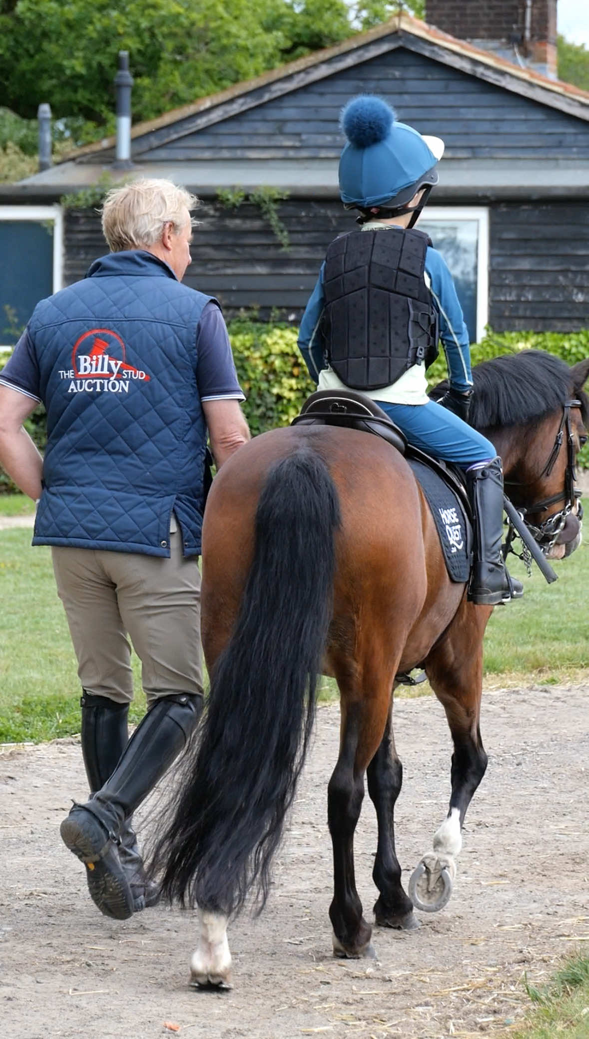@HorseQuest - Horses for Sale