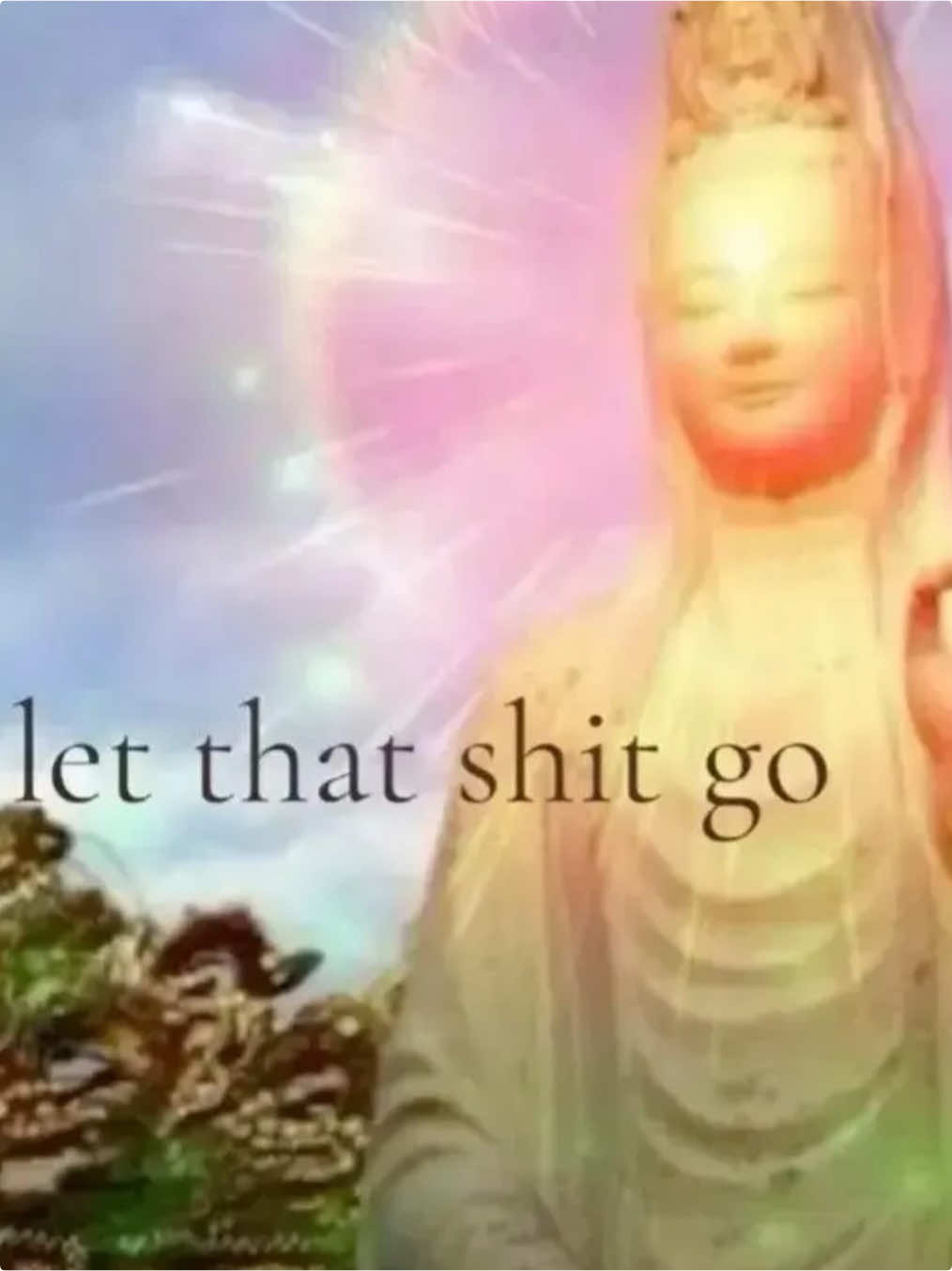 @🍵