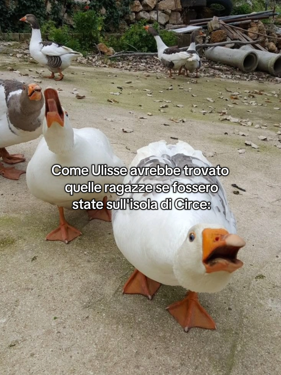 @Francio