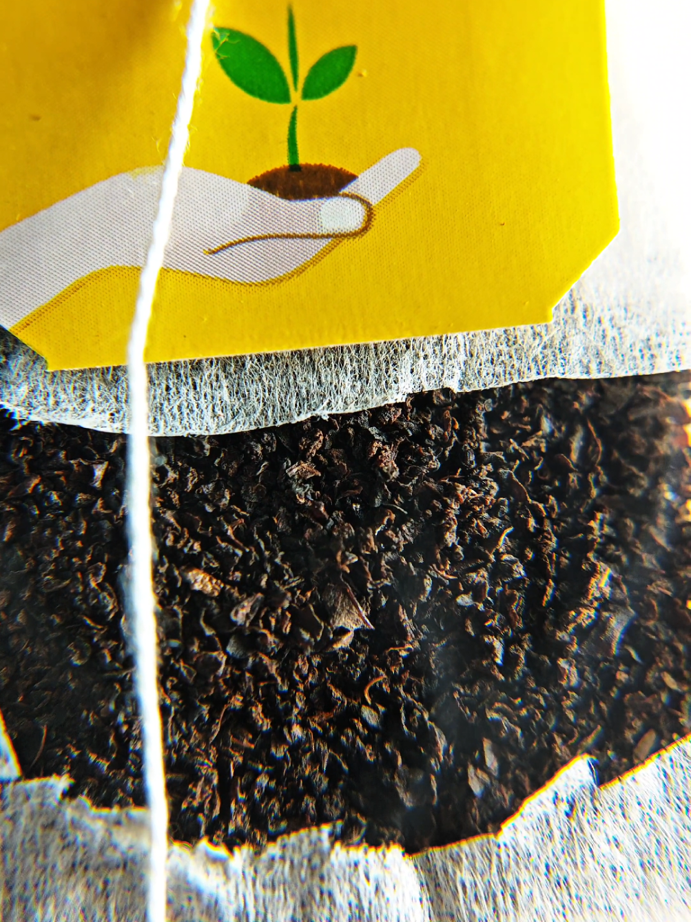 @Arny's Macro Vision