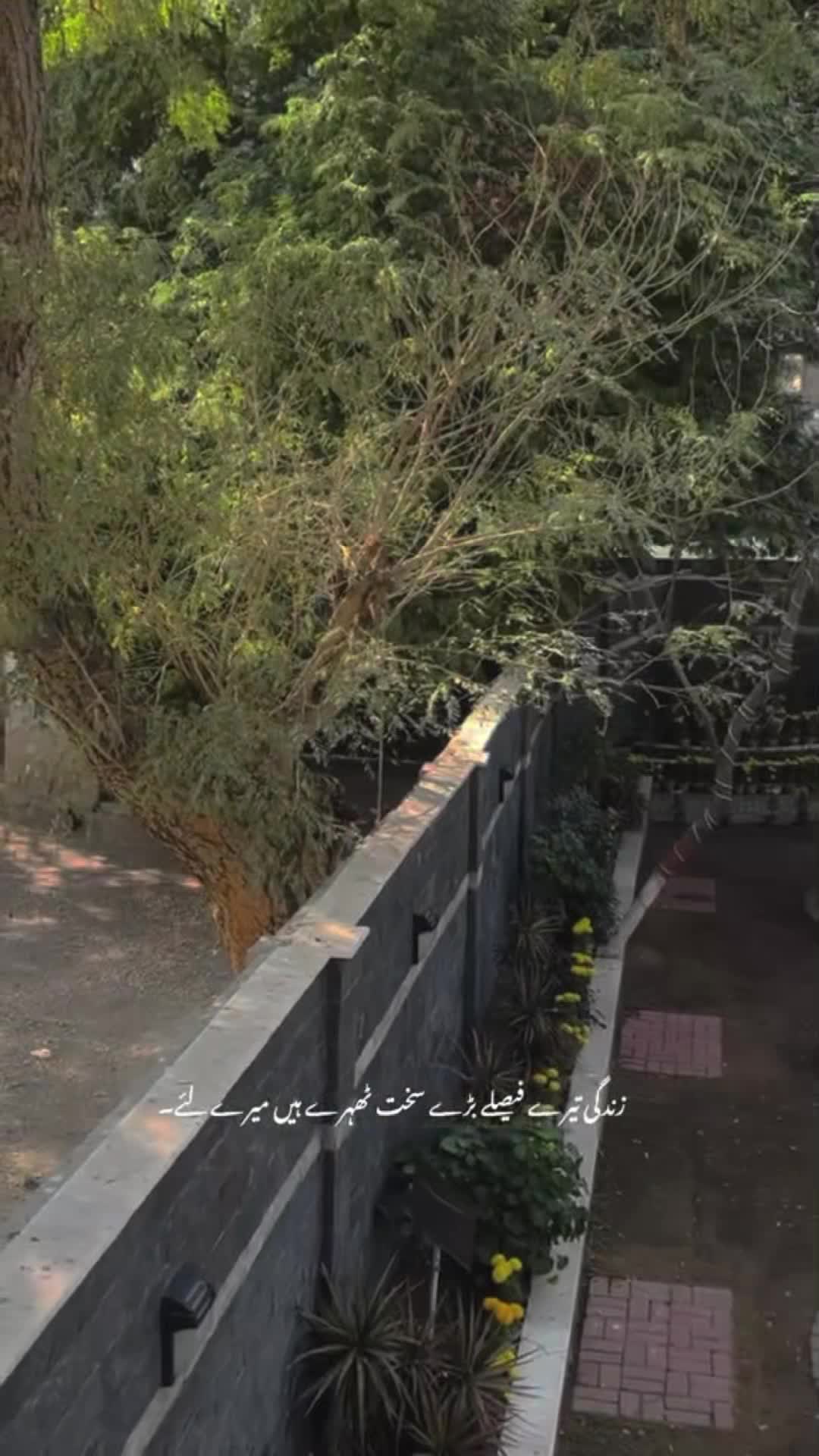 @𝙒𝘼𝙎𝙀𝙀𝙈🪽