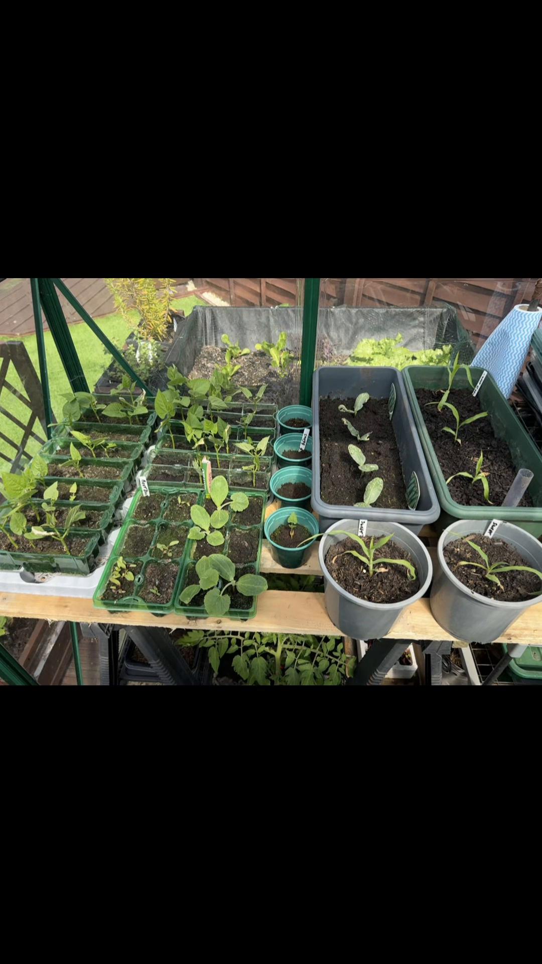 @grandadgreenhouse