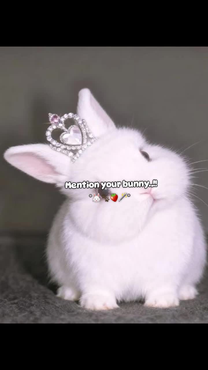 @𝑳𝒂𝒃𝒊𝒊★