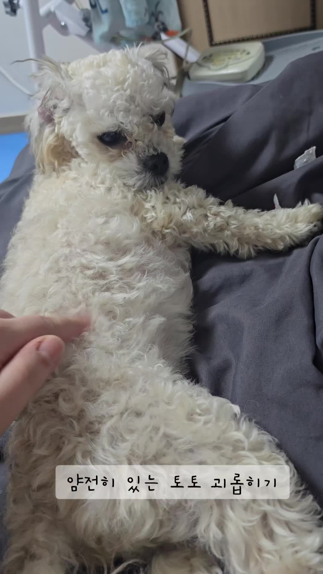 @토토엄마