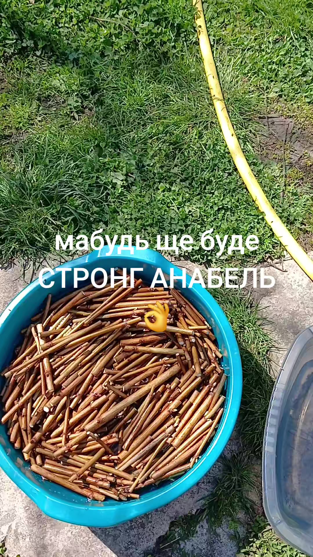 @🦋 Larisa_Fedorovna 💐