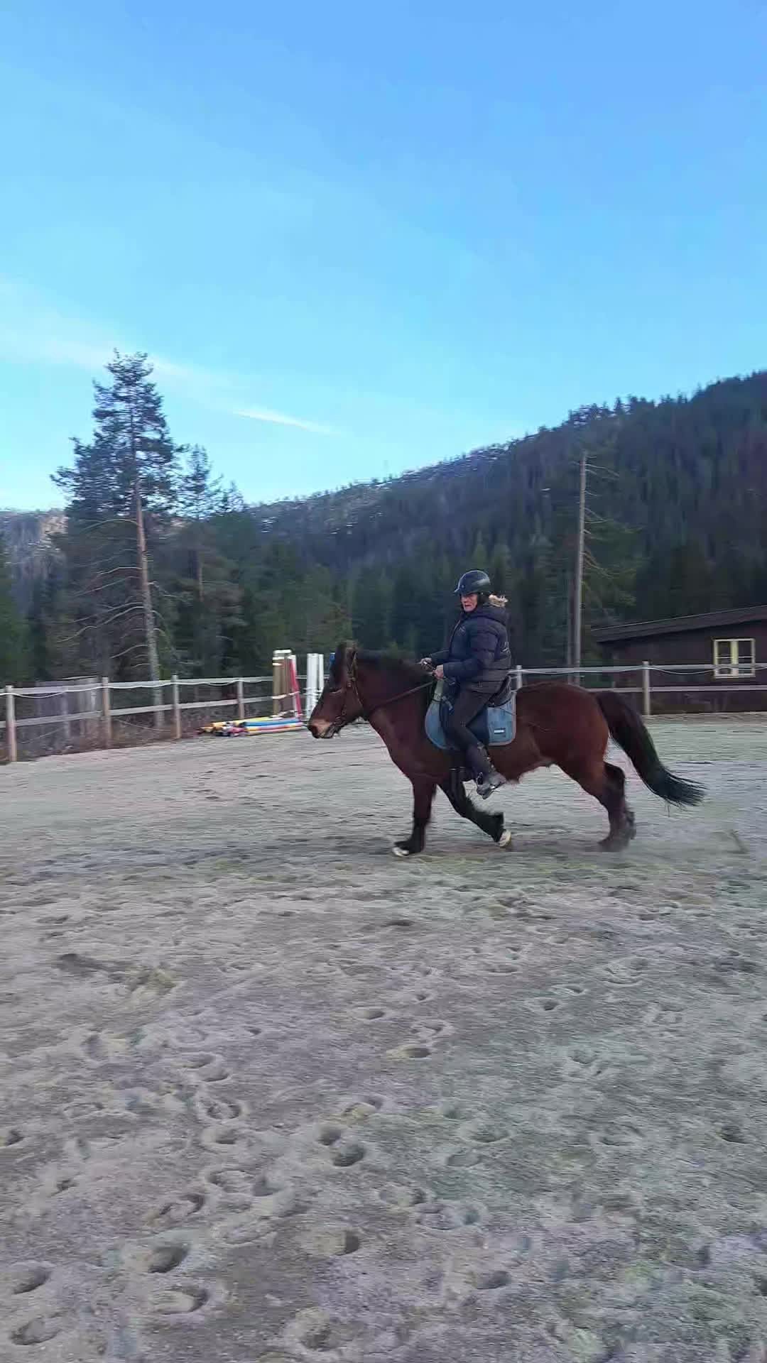 @Madelen Østtveiten Andersen 💗