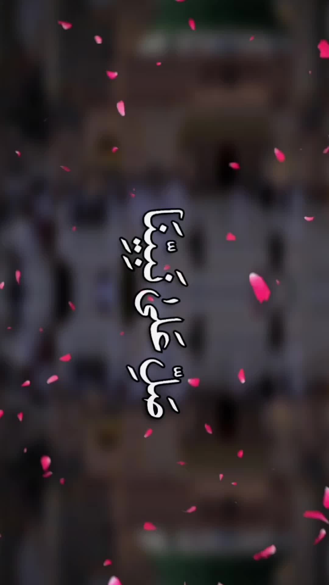 @๐ฌ๐ฆF๐๐๐๐๐๐ฆ๐ฌ
