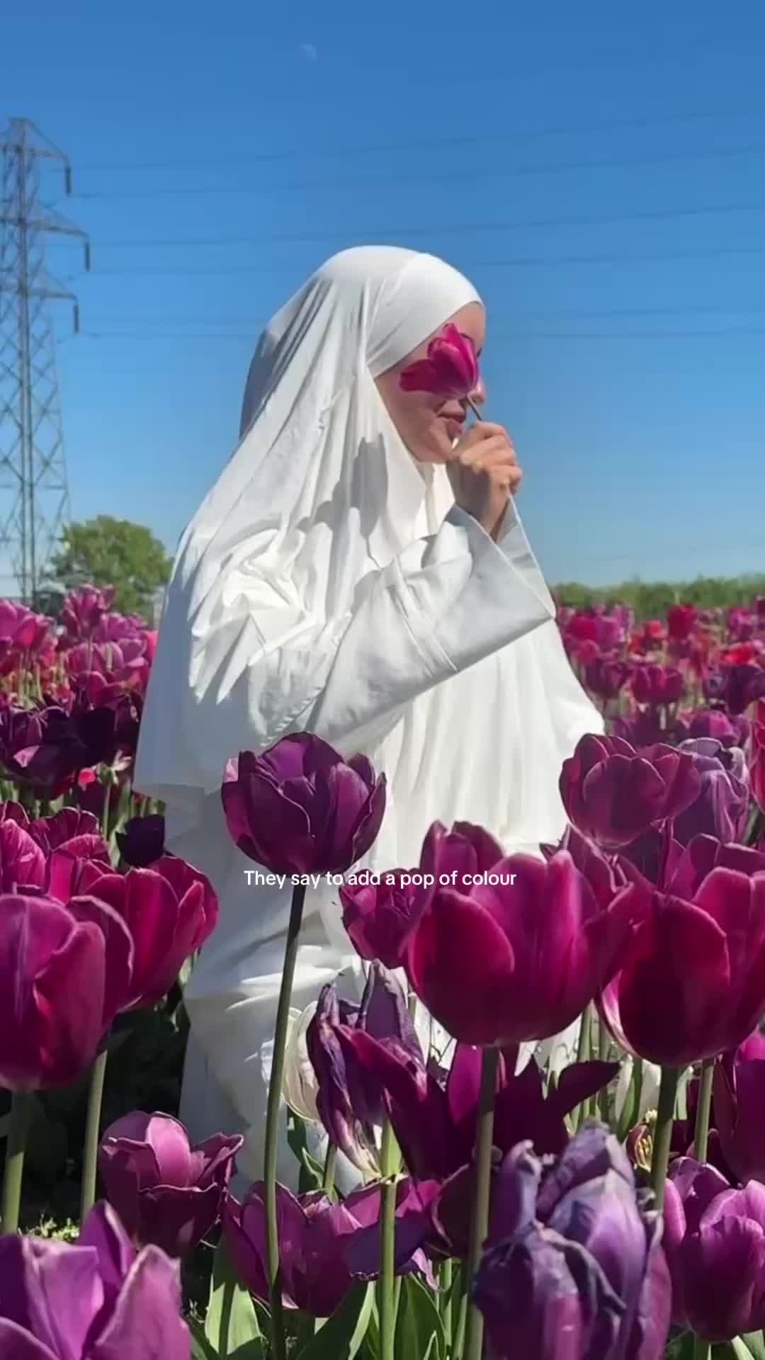 @byqudsiyah