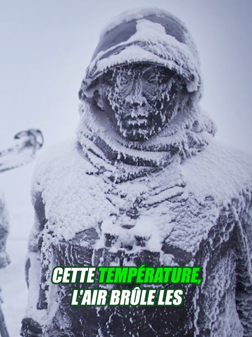 @Vico-Le Savais tu ?