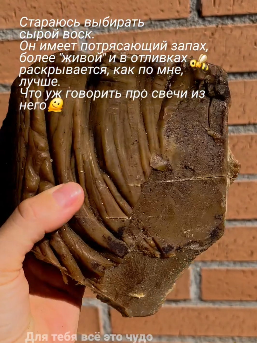 @Xenia