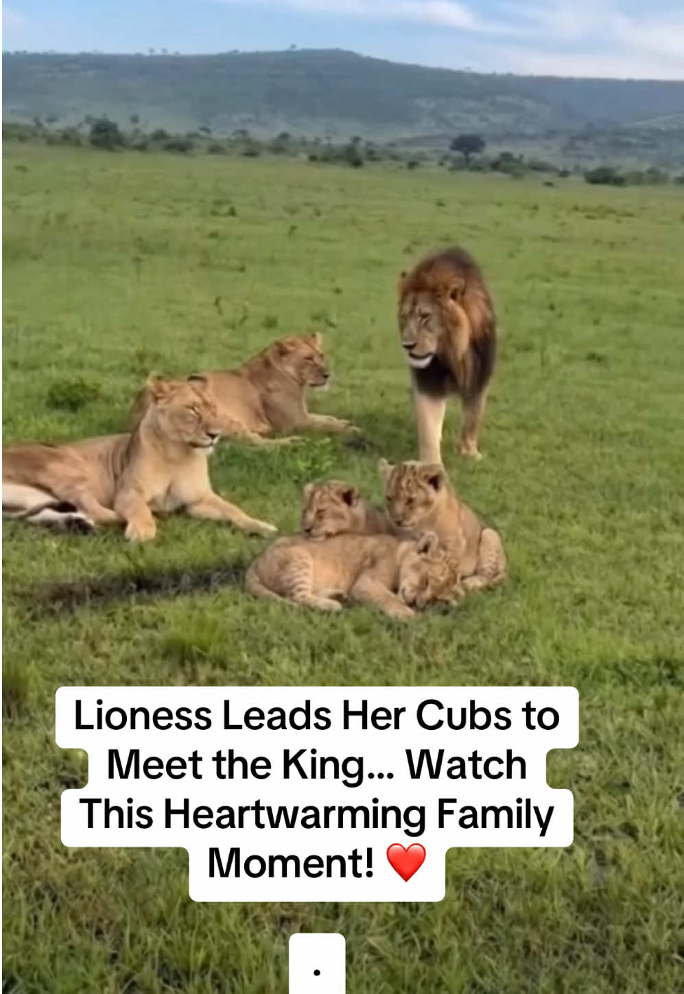 @KJ@LoveAnimalsEpicNature