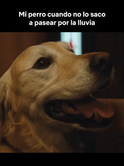 @Netflix Latinoamérica