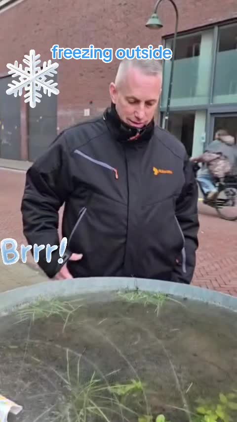 @Ferry✅️♂️(Netherlands)🇳🇱