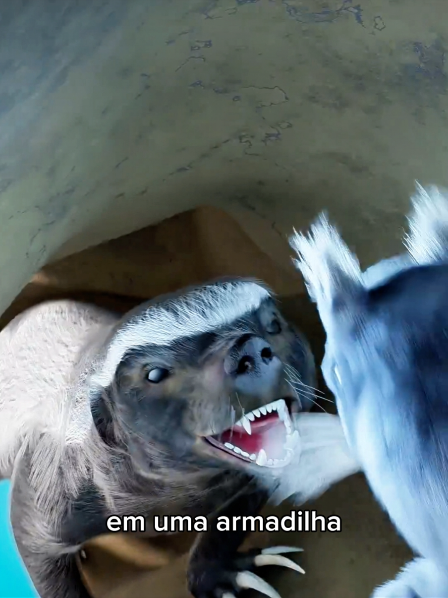 @Curiosity