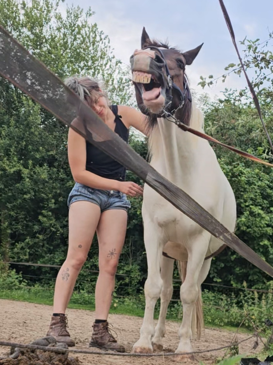 @Dino and horses