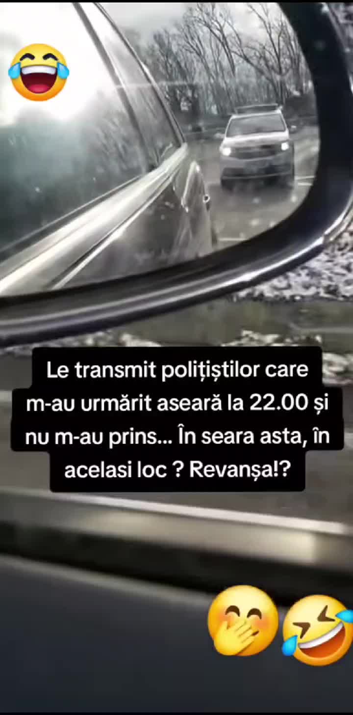@Elena Cotia