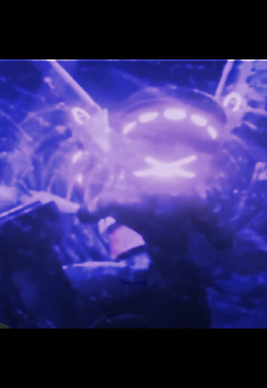 @𓏵𖥂𝔠𝔥𝔢𝔢𝔷_𝔴𝔞𝔣𝔣𝔩𖥂𓏵