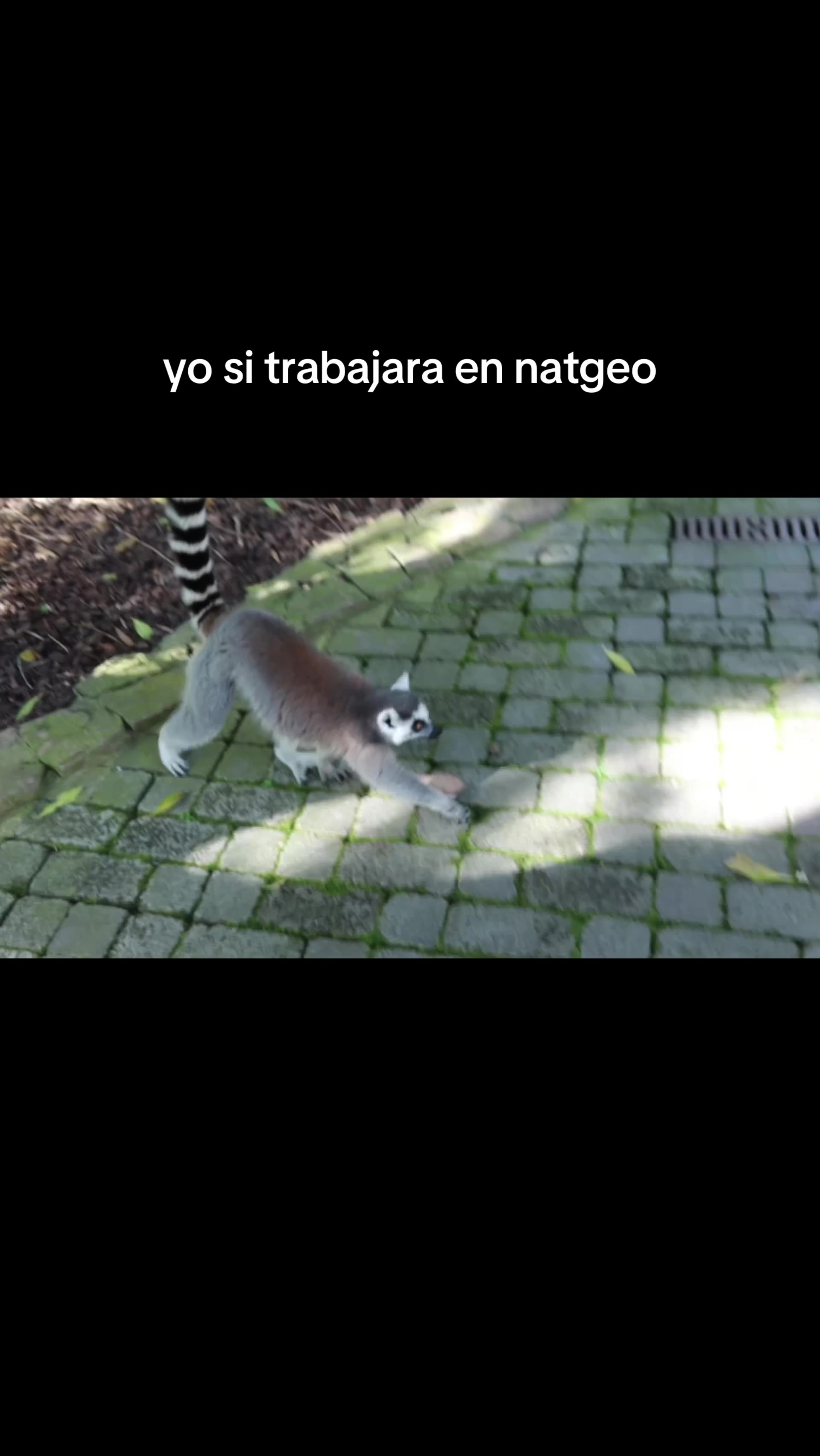 @estefanigda