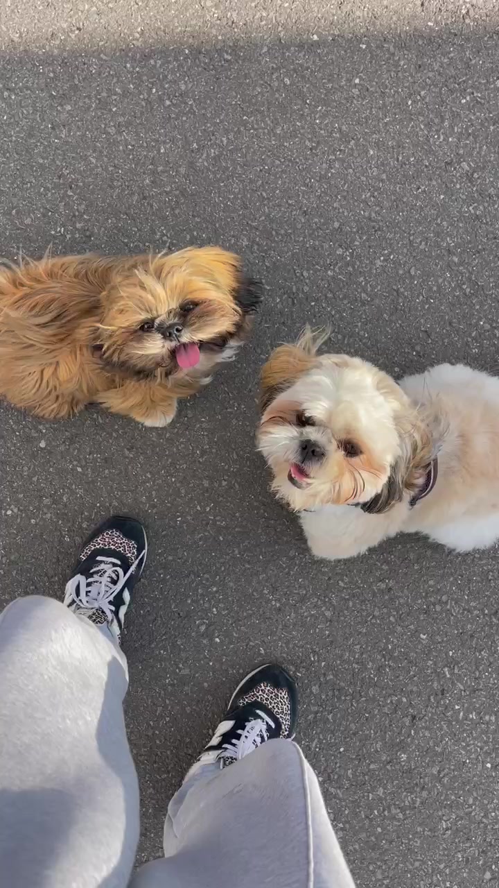 @Oscar😎  Lyalya 🥰 Hugo😜