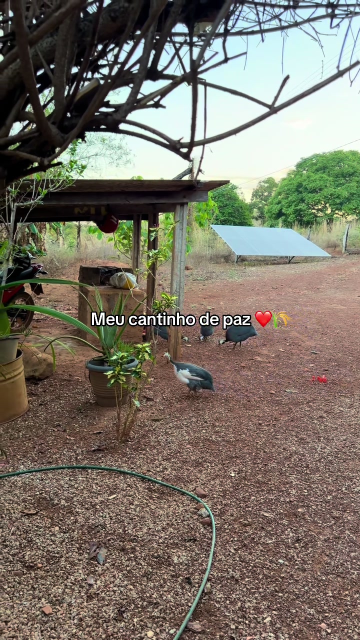 @Brendhasilva