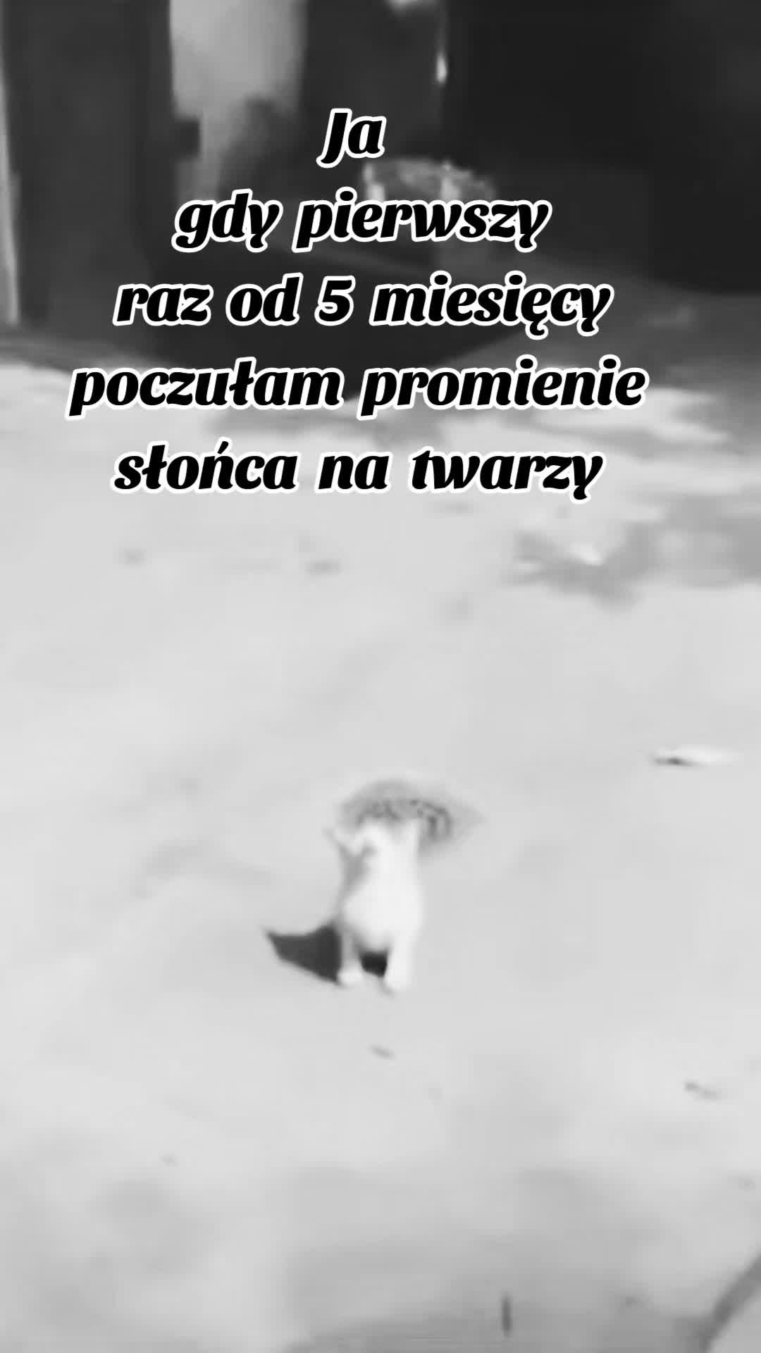 @Go Ga