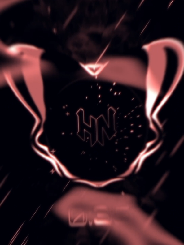 @HN-PHONK 💀