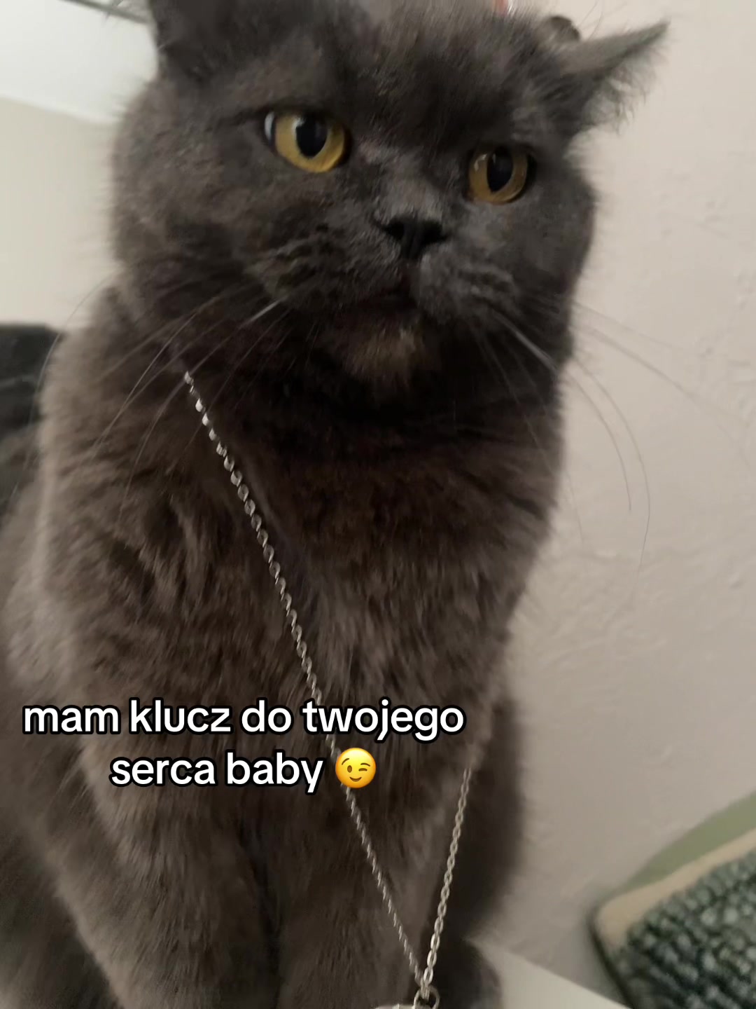 @Nowomiejska
