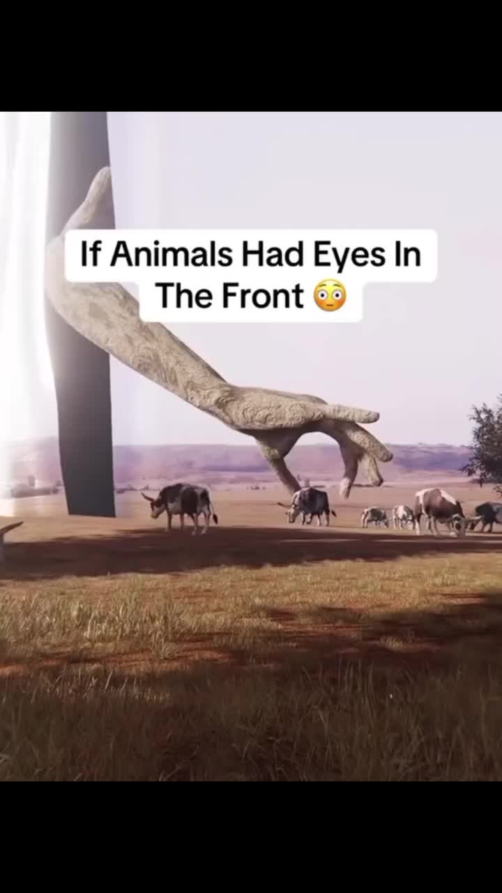 @🐳