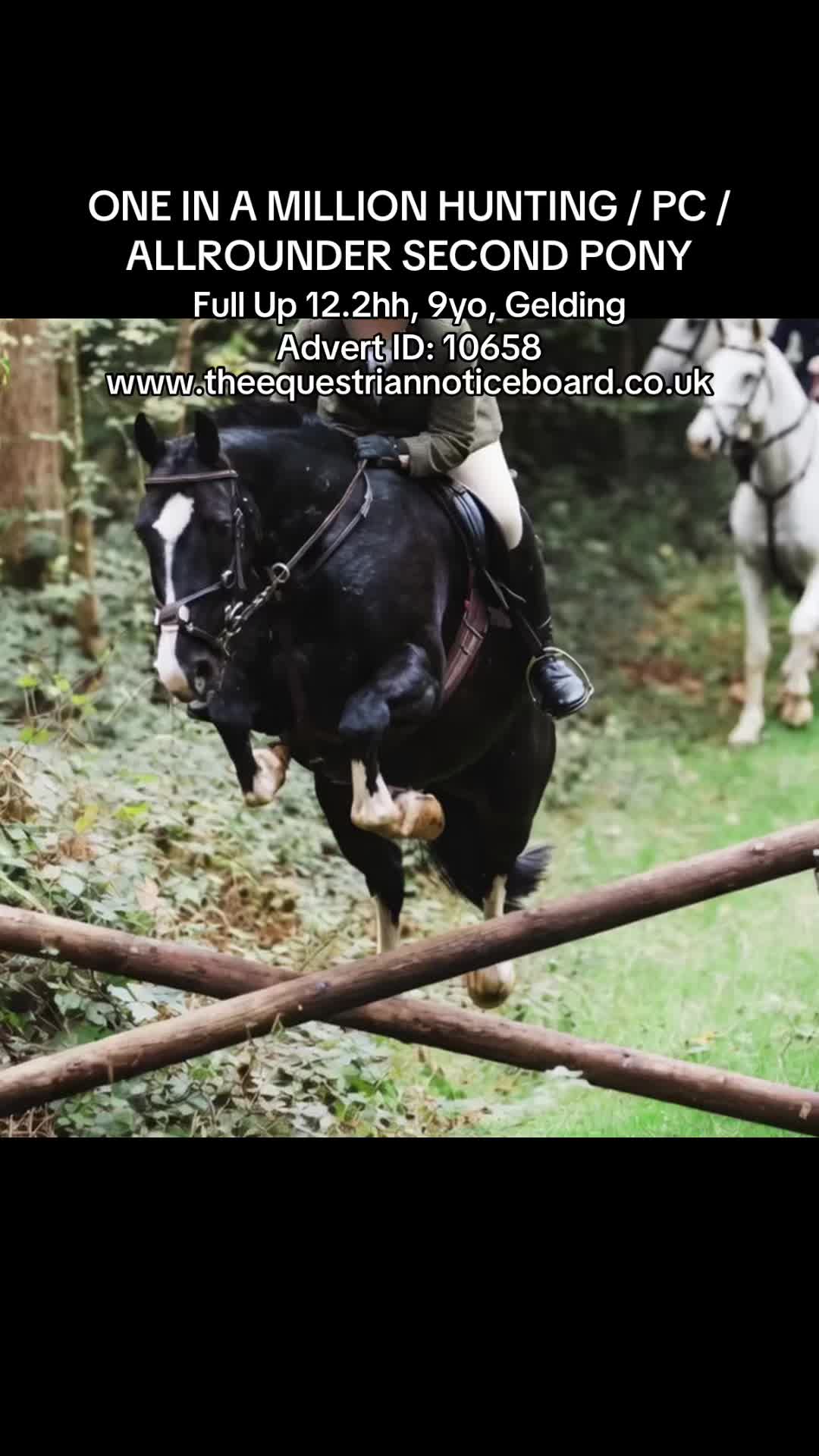 @theequestriannoticeboard