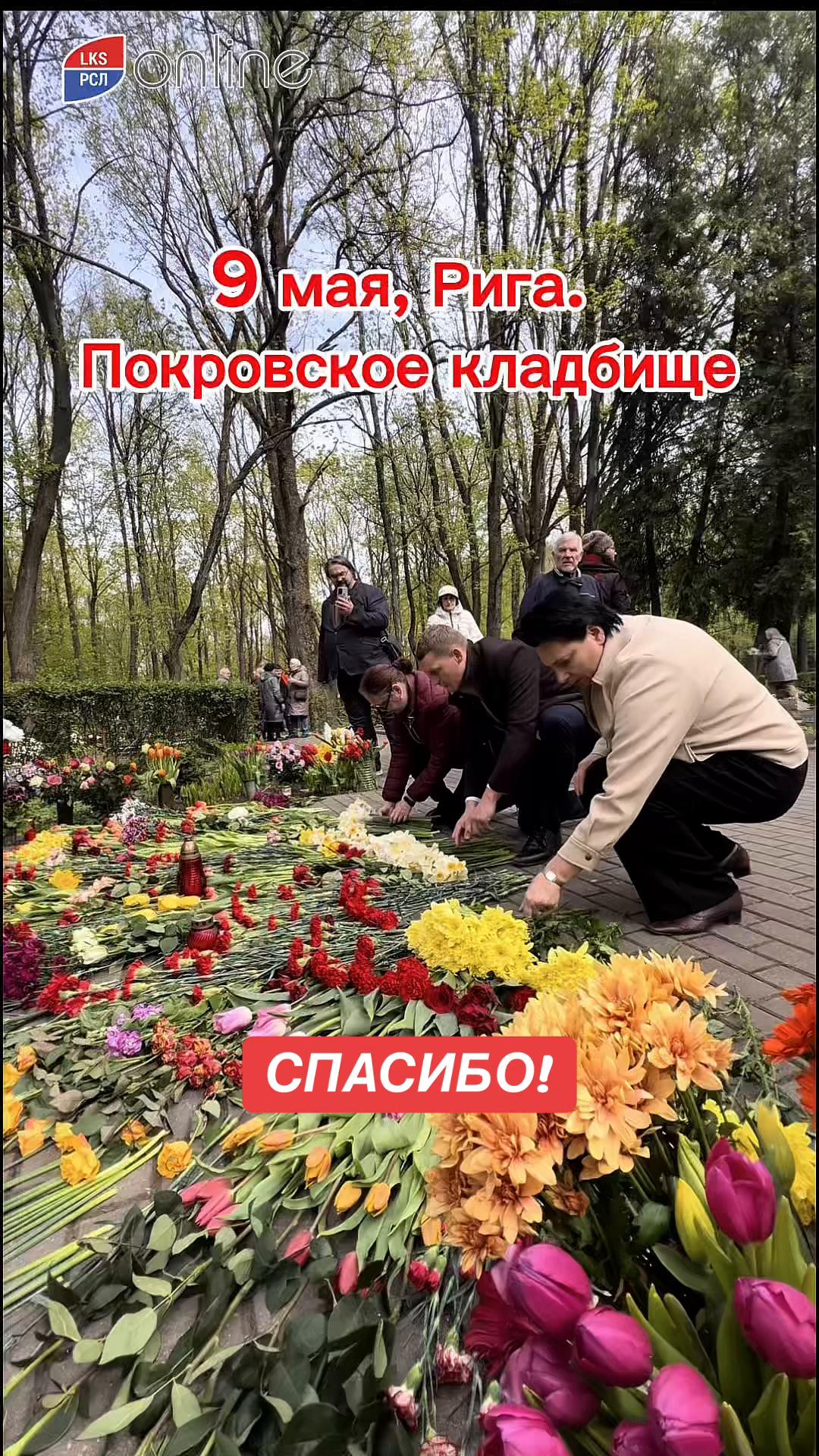 @Julia Sohina