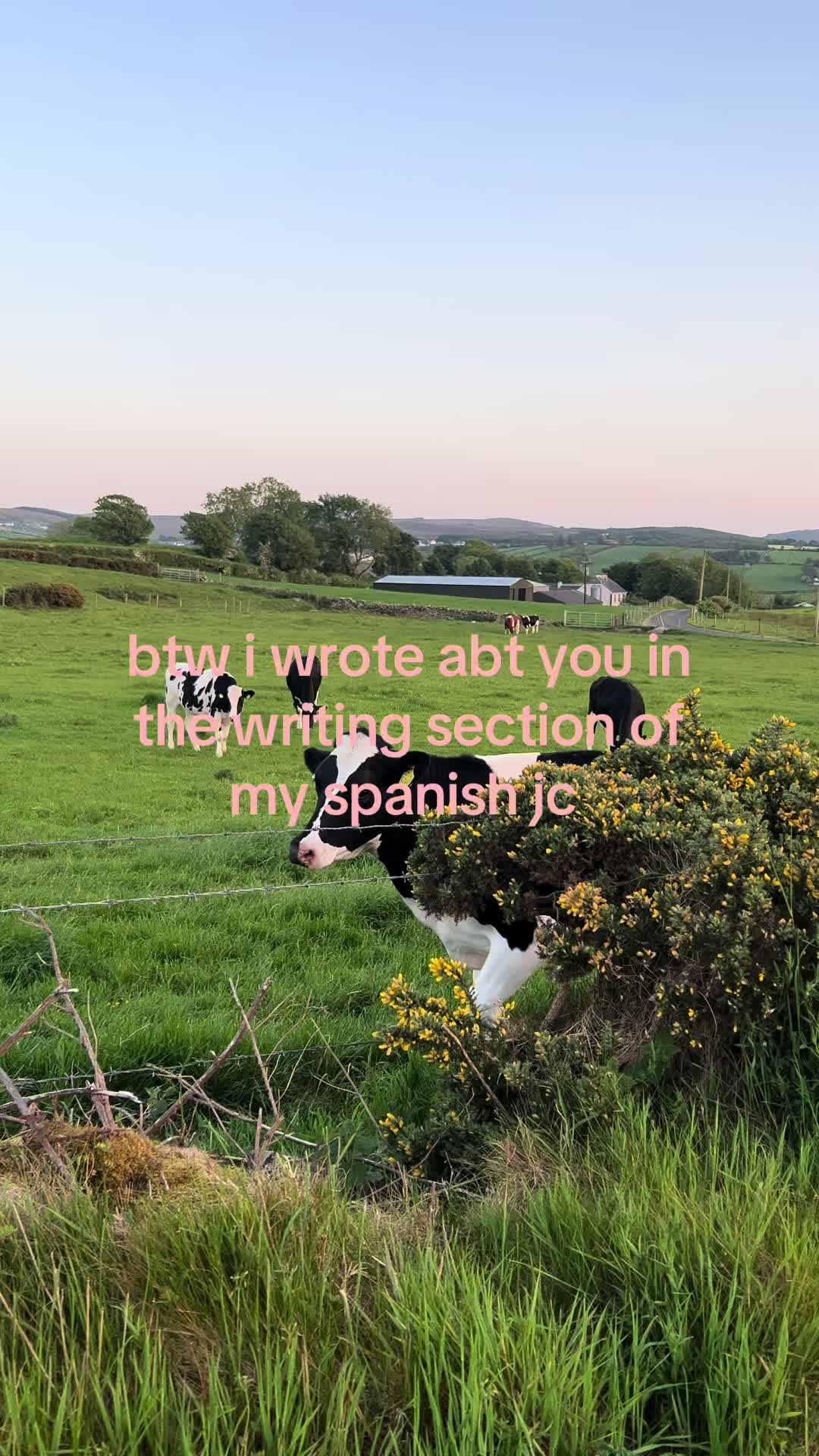 @goldie lockes