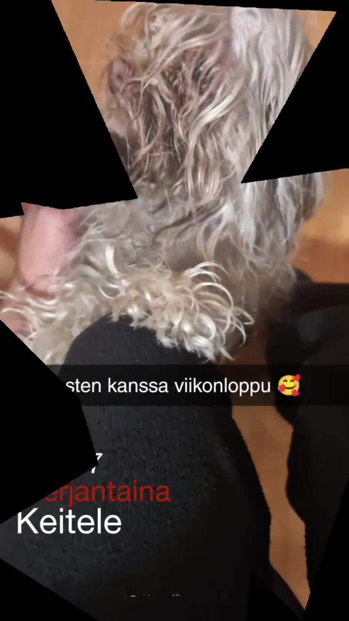 @T. Hopia