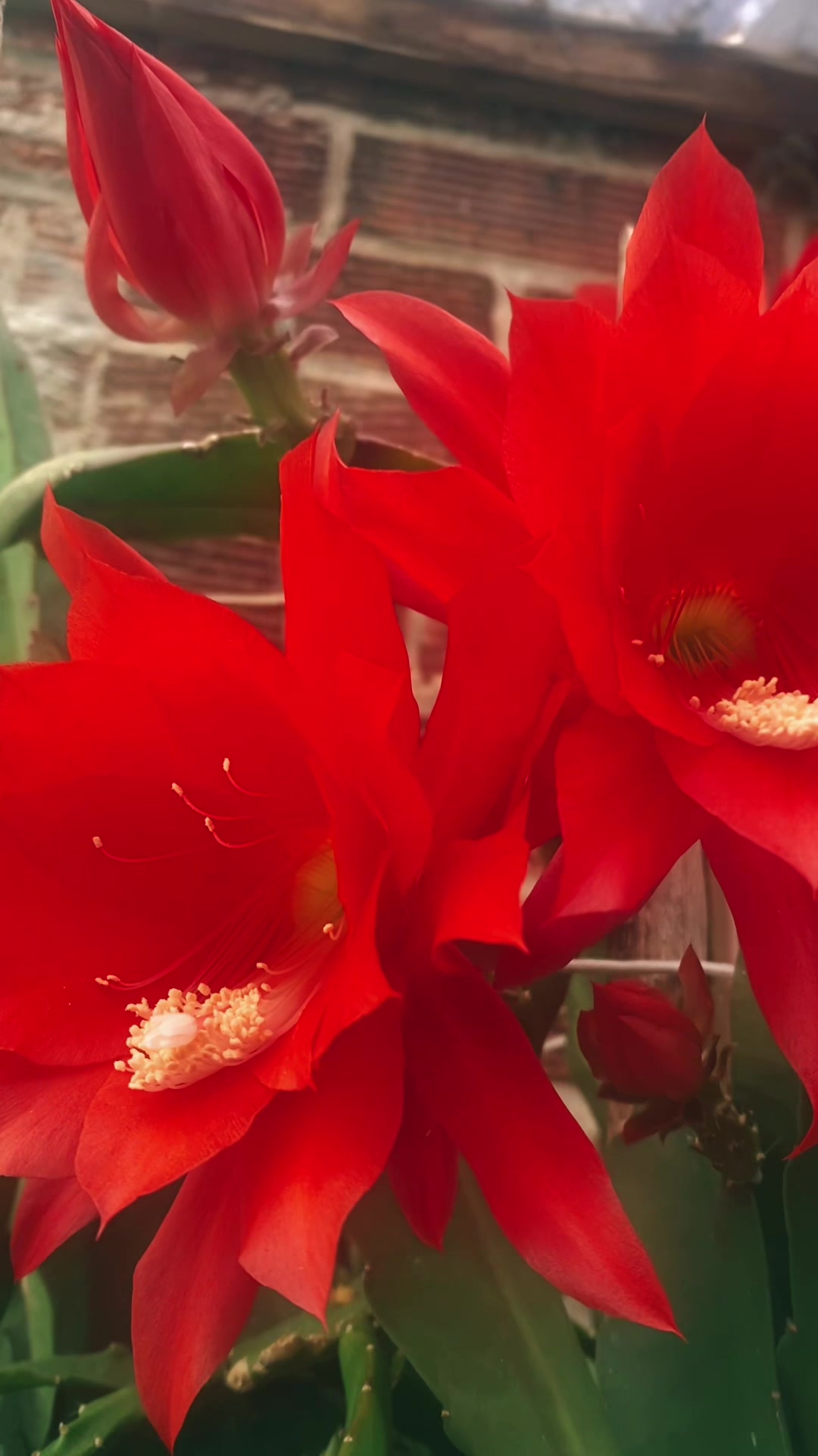 @🌺Flower&rsquo;s&ensp;Lover❤️
