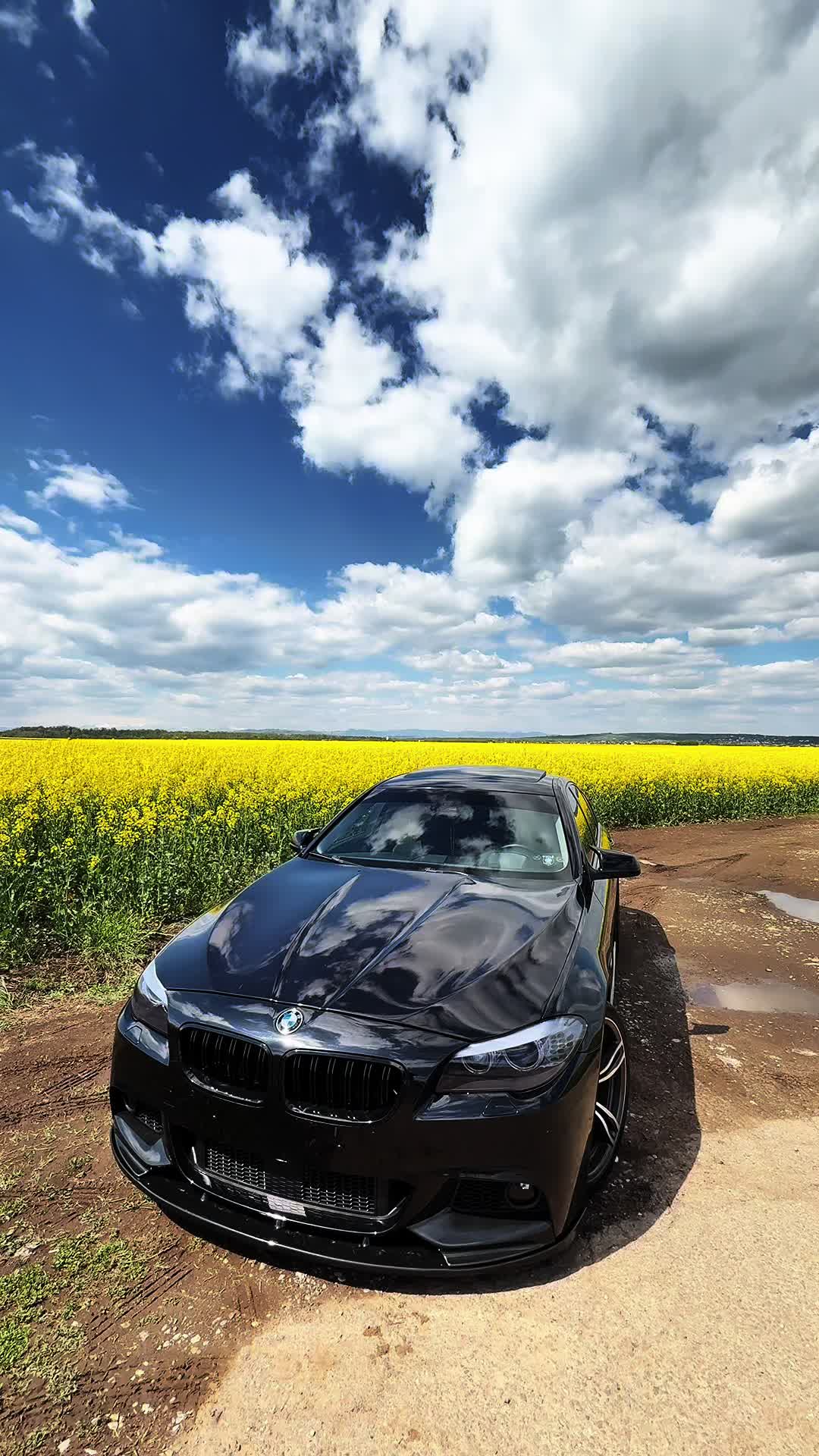 @A D E L I N N N