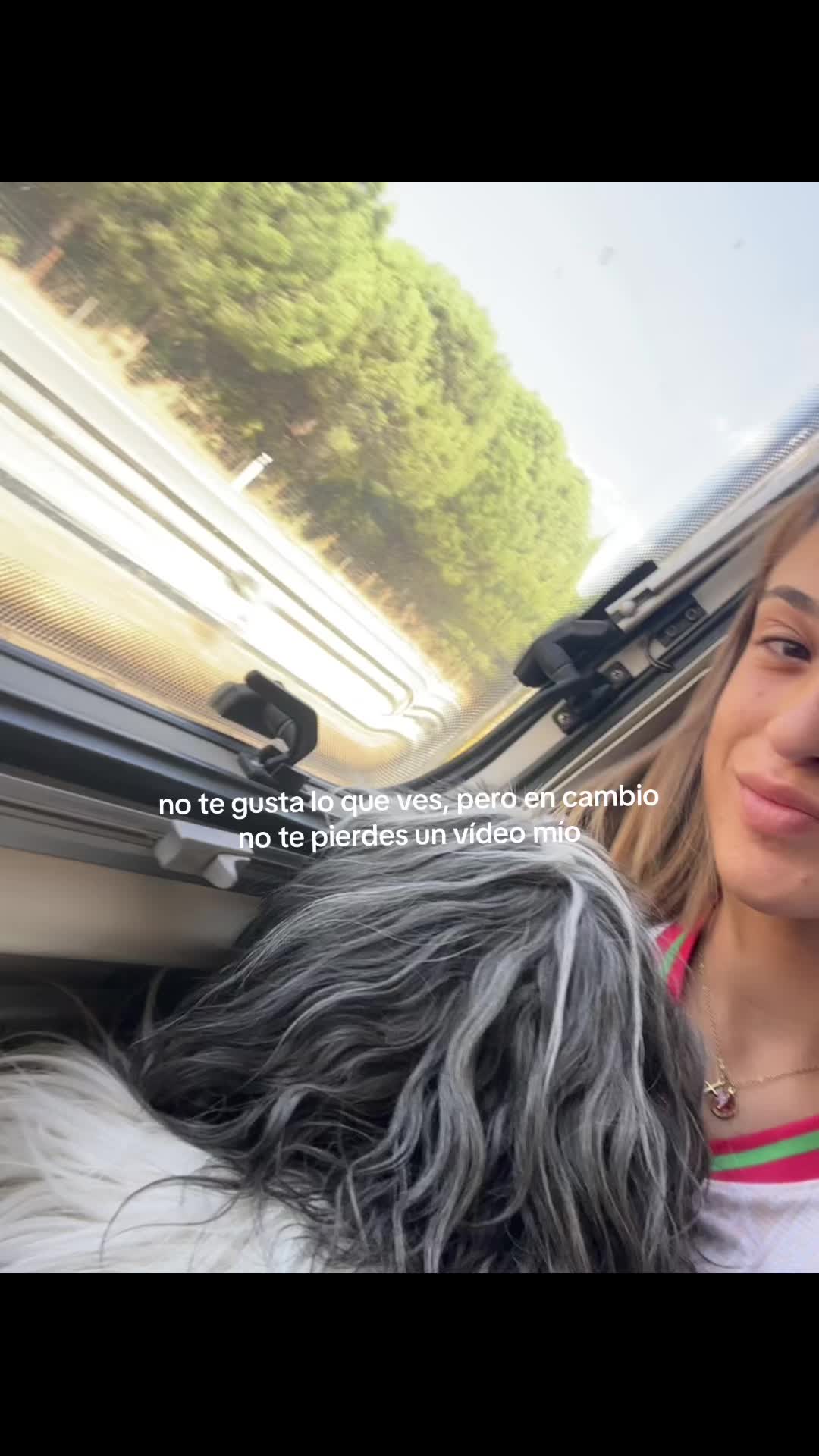 @🐴