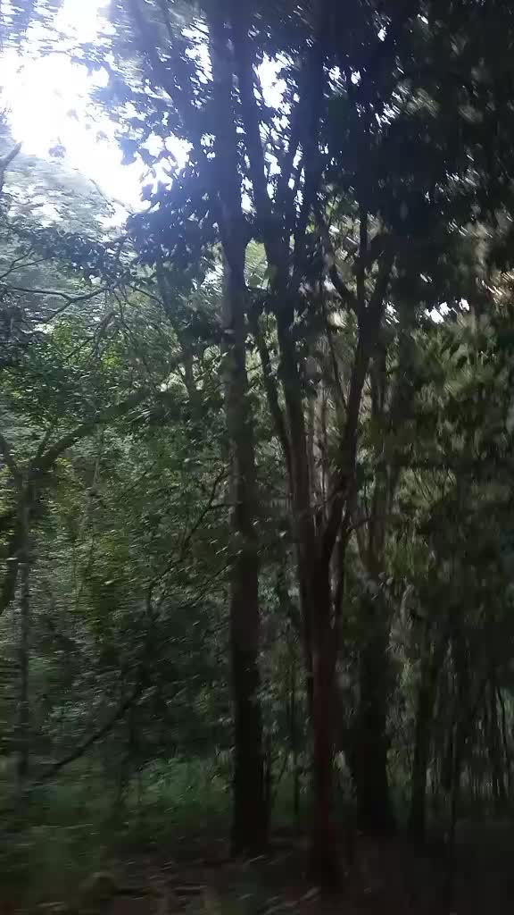 @JRUK