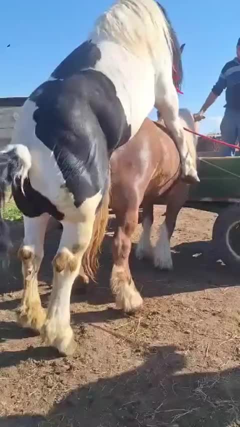 @DilKiPyas