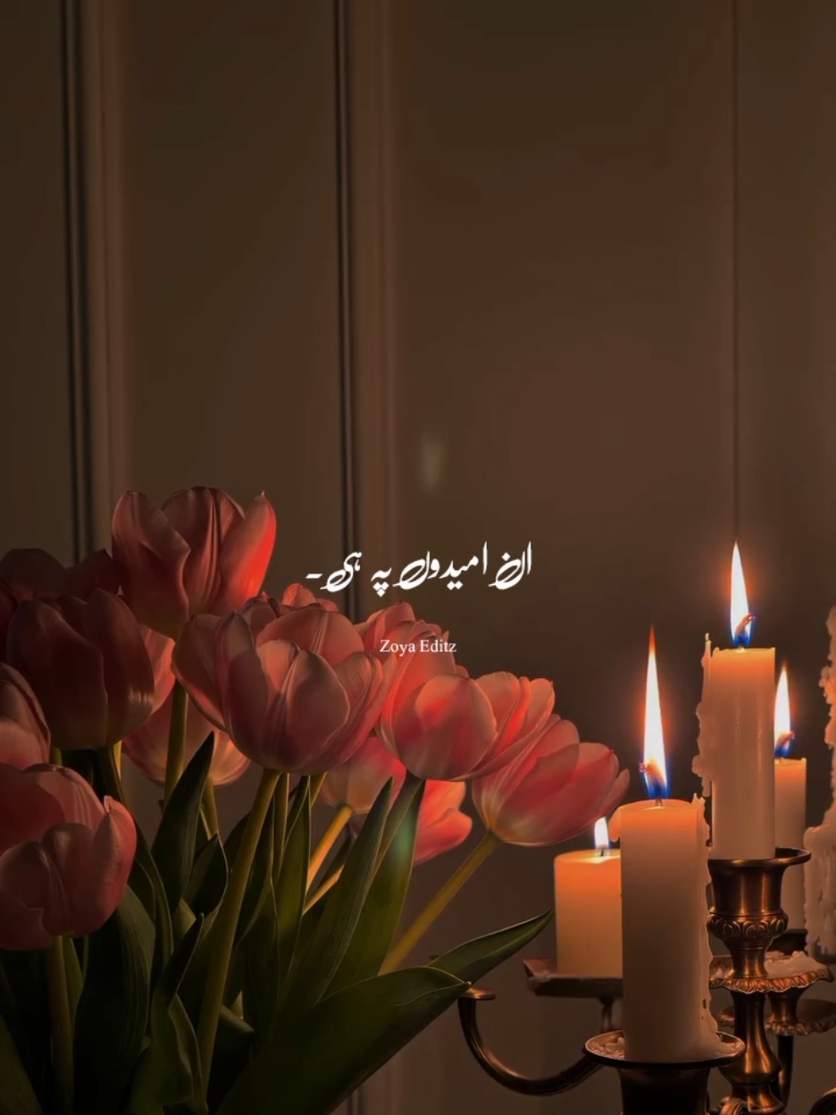 @𝐙𝐨𝐲𝐚 𝐄𝐝𝐢𝐭𝐳 💫