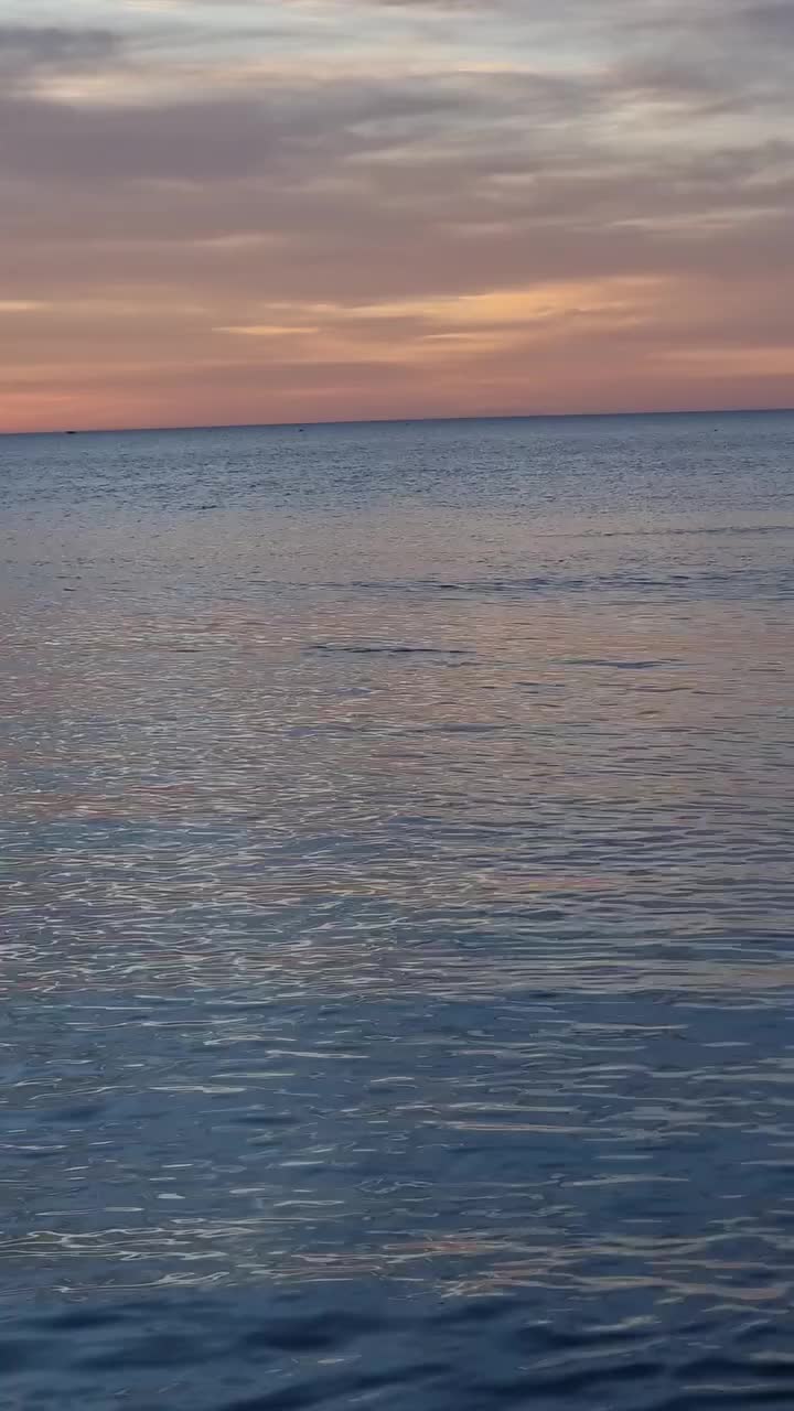 @Adam🇲🇫🇹🇳