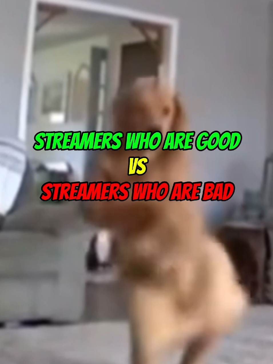 @MelkShek