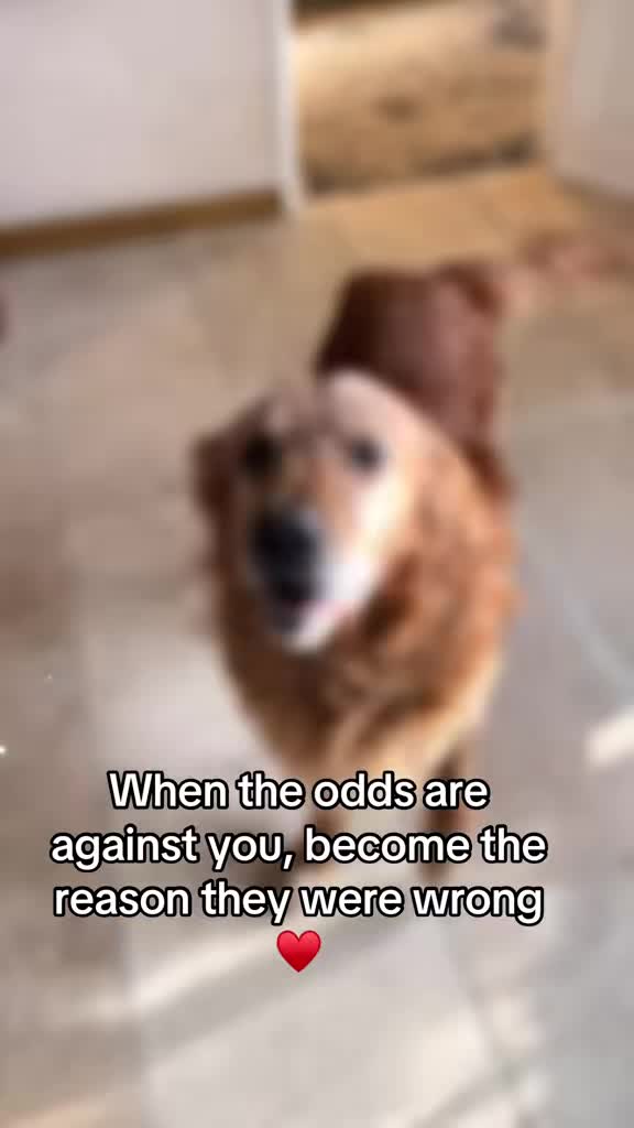 @Happy buddy
