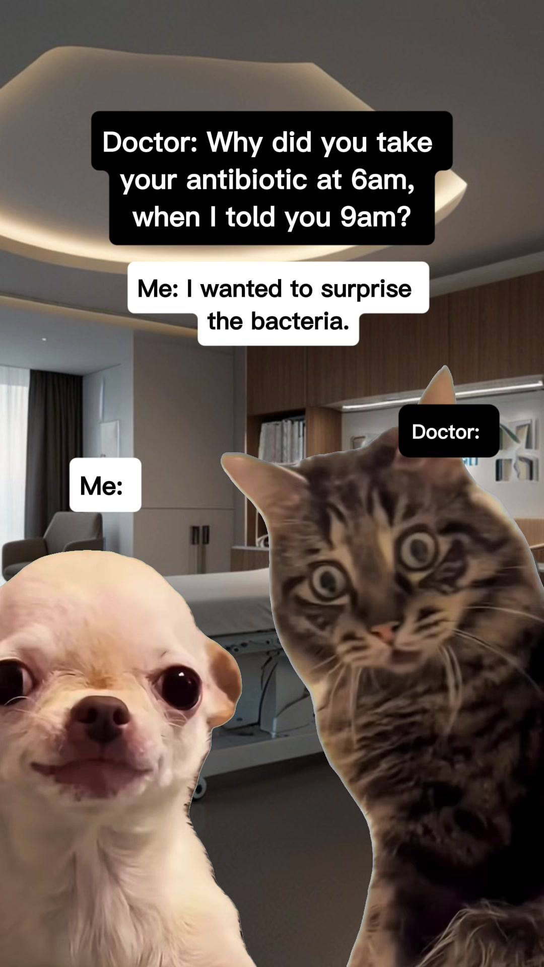 @brrrmemes