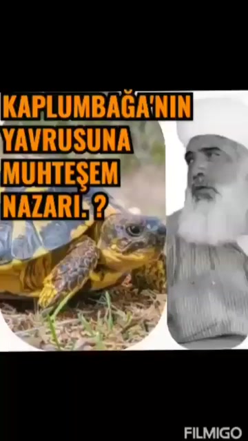 @İdris Çelik 63