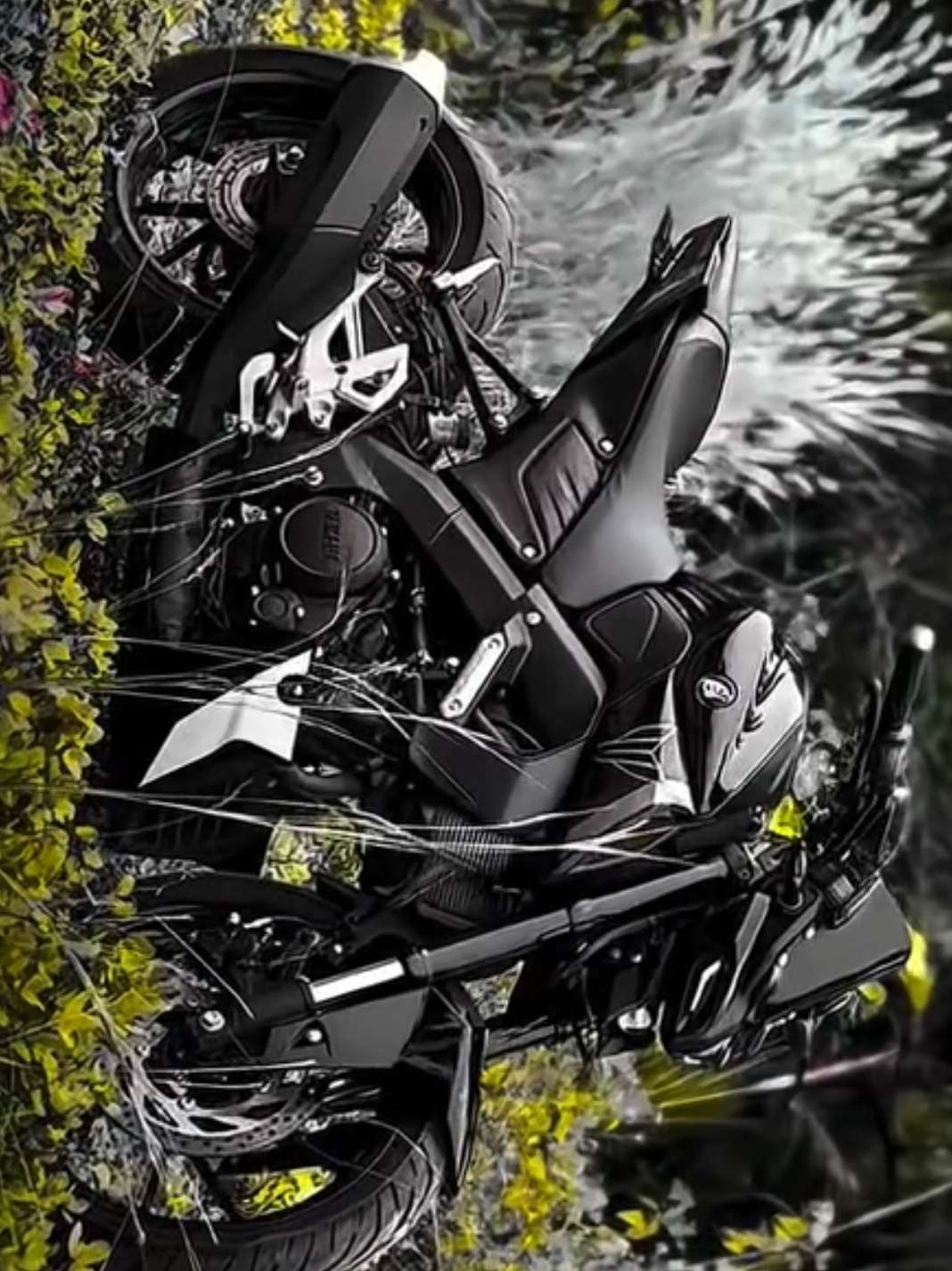 @MT15 🖤😍