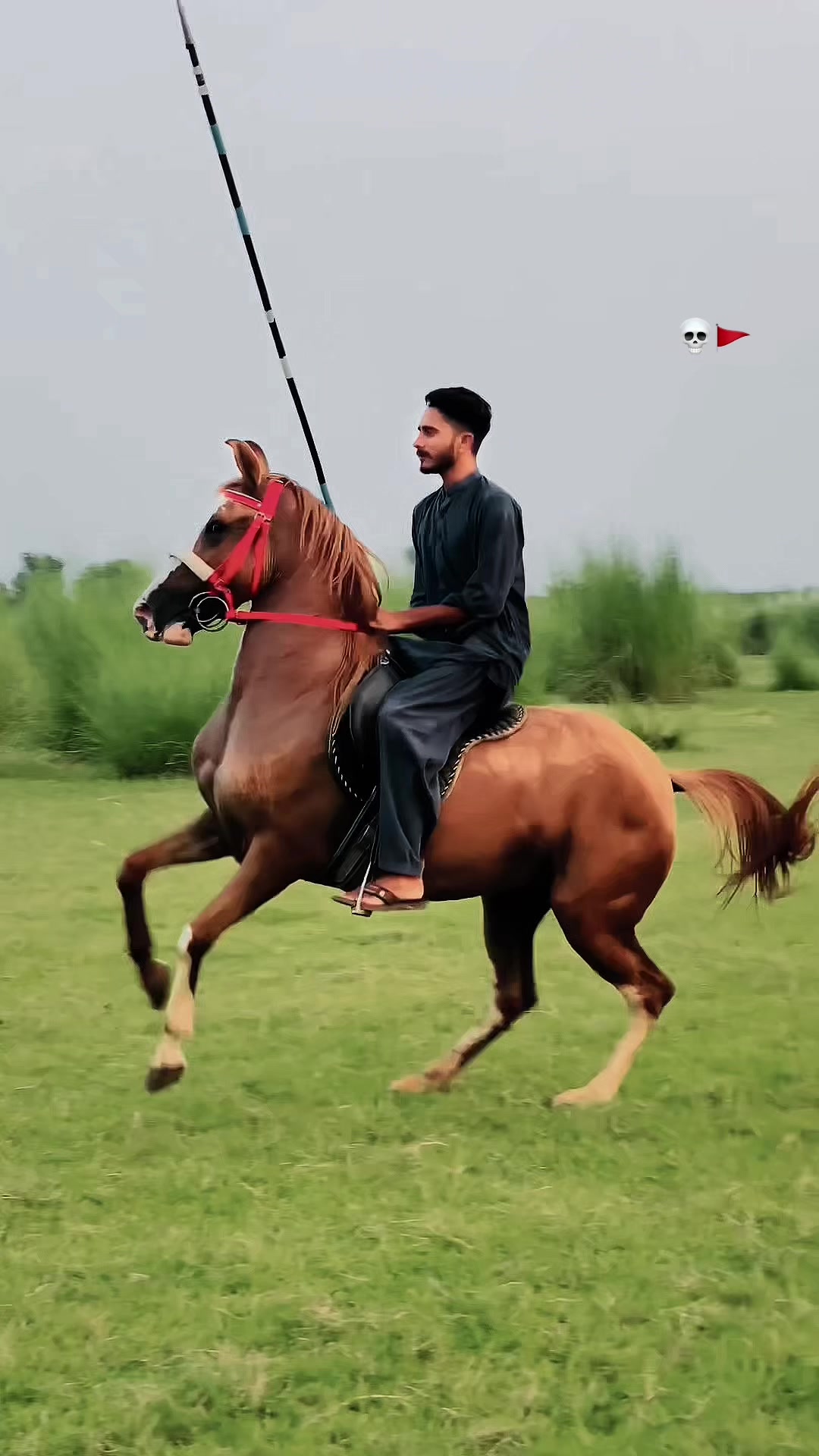 @Ch Hammad bokan &hearts;️🐎