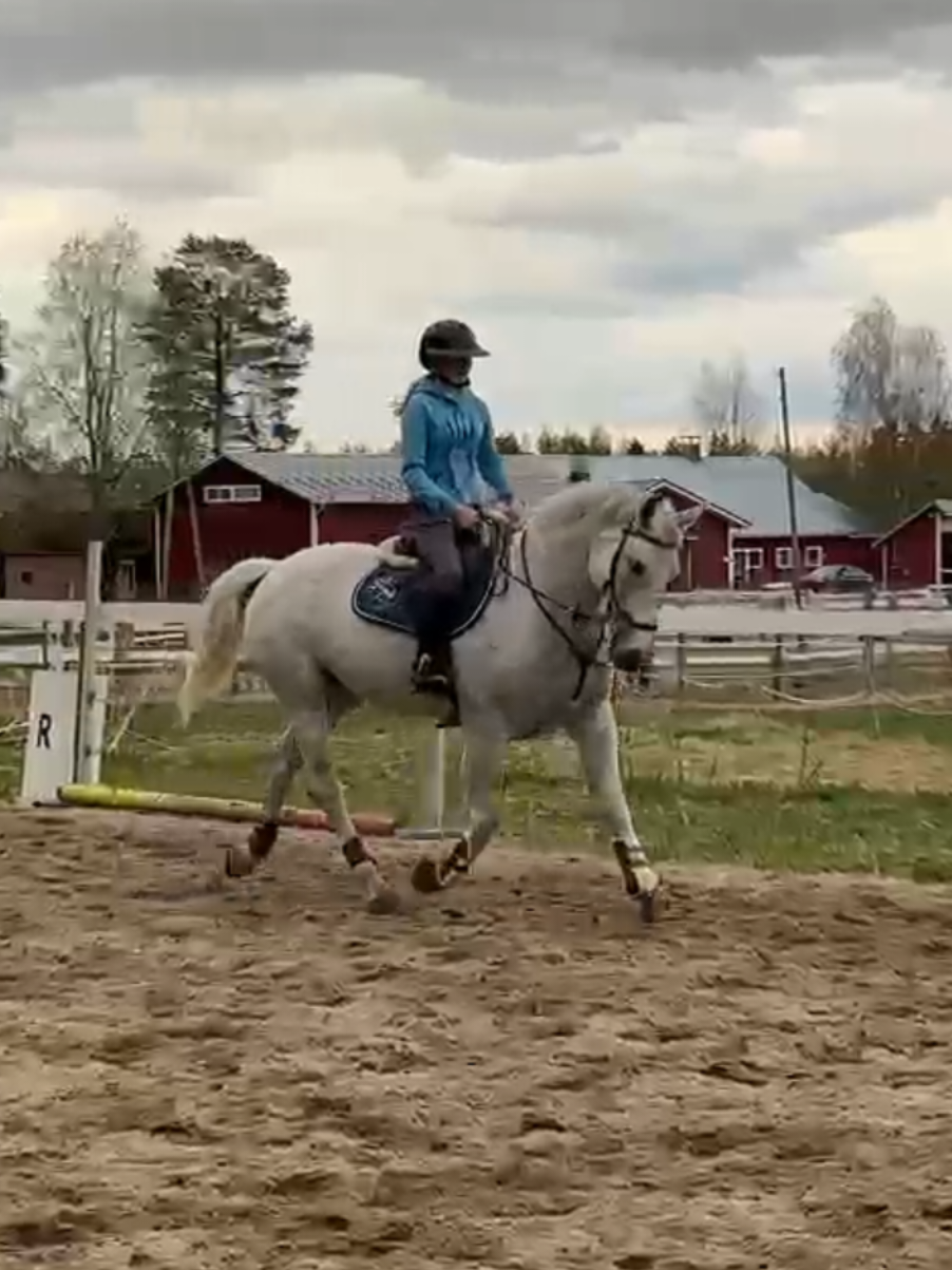 @✨️Veera Kettunen ja Ievina✨️